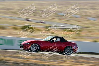 media/Mar-22-2025-West Coast Racing (Sat) [[0d49b412c8]]/Yellow Group/Session 1 (Turn 4-Exterior)/